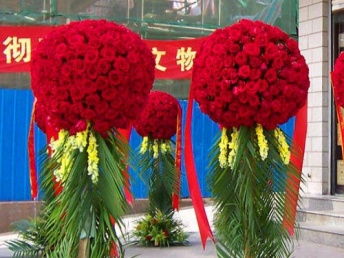 廣州白云區(qū)剪彩禮儀用品與開(kāi)業(yè)花籃服務(wù) 花卉綠植租借全解析
