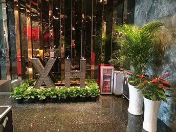 廣州鮮花綠植租賃服務 為城市空間注入盎然生機