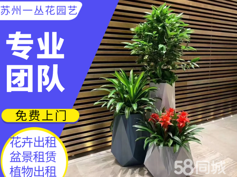 鮮花綠植租賃 打造綠色空間的便捷之選