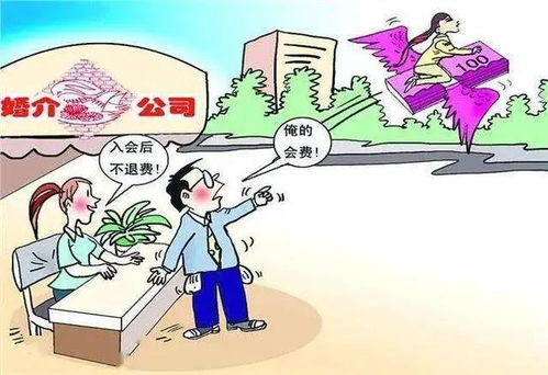 婚介服務(wù)期已過，脫單未成費(fèi)用能退嗎？法院判決揭示關(guān)鍵